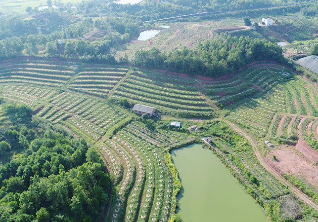 基地風(fēng)采